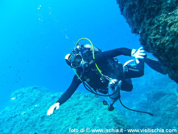 diving-ischia-31